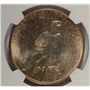 Image 3 : 1922 PEACE DOLLAR NGC MS-63