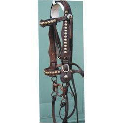 wide spotted bridle with iron bit