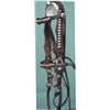 Image 1 : wide spotted bridle with iron bit