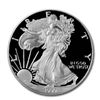 Image 1 : Proof Silver Eagle 1999-P