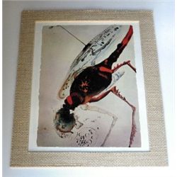 SALVADOR DALI BIBLE LITHOGRAPH