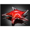 Image 1 : ART GLASS STARFISH