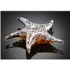 Image 1 : ART GLASS STARFISH