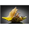 Image 1 : ART GLASS MUREX SHELL