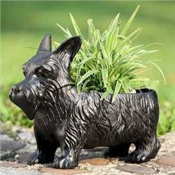 SCOTTIE DOG PLANTER