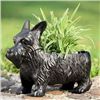 Image 1 : SCOTTIE DOG PLANTER