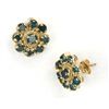 Image 1 : 1.50 CTW. BLUE DIAMOND EARRINGS IN 14KY GOLD SETTING