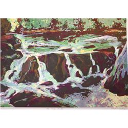 DUBARB 79' ORIGINAL LITHOGRAPH