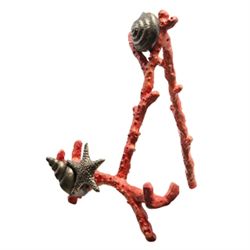 CORAL & SHELL EASEL