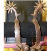 Image 2 : North & Judd Drop Shank spurs