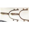 Image 5 : Buermann Spurs