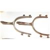 Image 6 : Buermann Spurs