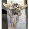Image 3 : Real Buffalo Skull