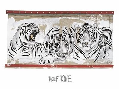 Rolf Knie Three White Tigers Poster Kunstdruck Kunstdrucke Bild 60 x 80 cm