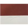 Image 3 : Doug Danz Signed Abstract Proof Print Canyon B