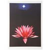 Image 1 : Michael Knigin, Lone Lily, Lithograph