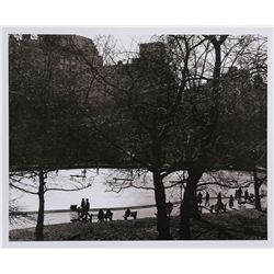 Central Park, Photograph