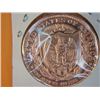 Image 2 : 1 OUNCE COPPER INDIAN