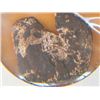 Image 1 : VI SHIPWRECK COIN