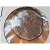 Image 2 : LION SHIPWRECK COIN