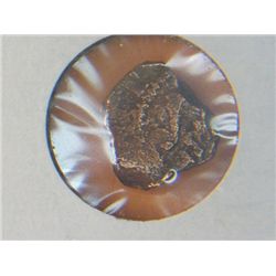 COB SHIPWRECK COIN