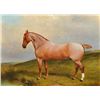 Image 1 : J.W. COLE Roan Gelding
