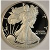 Image 1 : 2007 PROOF AMERICAN SILVER EAGLE ( COIN ONLY )