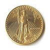 Image 1 : US American Gold Eagle Uncirculated Half Ounce