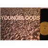 Image 1 : CLASSIC YOUNG BLOODS RECORDS  ROCK FESTIVAL