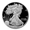 Image 1 : Proof Silver Eagle 2001-W