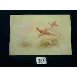 OIL ON CARD - PHEASANTS IN FLIGHT - JAMES STI...