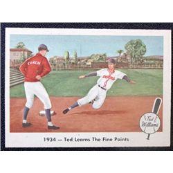 1959 Fleer Ted Williams.  Ted Learns The Fine Points.  NM