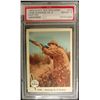 Image 1 : 1959 Fleer Ted Williams.  GUNNING AS A PASTTIME.  PSA 8