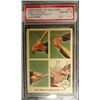 Image 1 : 1959 FLEER TED WILLIAMS.  TED'S HITTING FUNDAMENTALS #1.  PSA 8