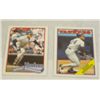 Image 6 : 83-Different NY Yankee's Cards, Mostly 80's