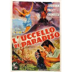 L'UCCELLO DI PARADISO