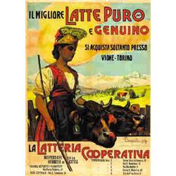 LA LATTERIA COOPERATIVA VIONE, TORINO