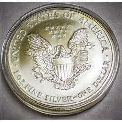1999 SILVER EAGLE DOLLAR PAINTED