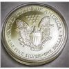 Image 1 : 1999 SILVER EAGLE DOLLAR PAINTED