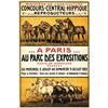 Image 1 : CONCOURS CENTRAL HIPPIQUE