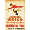 Image 1 : CONC. IPPICO INTERNAZ. MONTECATINI TERME