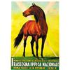 Image 1 : I^ RASSEGNA IPPICA NAZIONALE