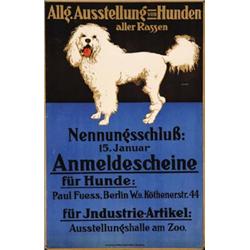 AUSSTELLUNG VON HUNDEN