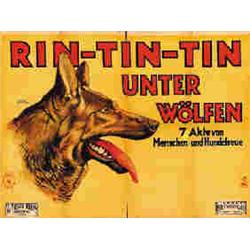 RIN-TIN-TIN- UNTER WOLFEN