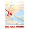 Image 1 : LAI