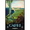 Image 1 : CAPRI