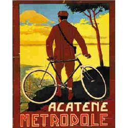 ACATENE METROPOLE