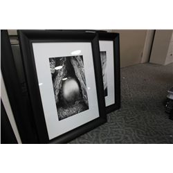 FRAMED BLACK & WHITE PRINTS