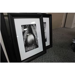 FRAMED BLACK & WHITE PRINTS
