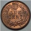 Image 2 : 1896 Indian Cent MS-65 Red and Brown